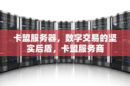 卡盟服务器，数字交易的坚实后盾，卡盟服务商
