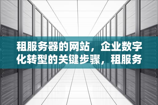 租服务器的网站，企业数字化转型的关键步骤，租服务器的网站有哪些