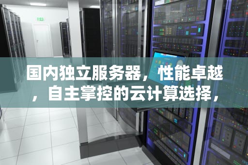 国内独立服务器，性能卓越，自主掌控的云计算选择，国内独立服务器租用