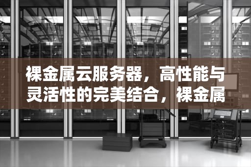 裸金属云服务器，高性能与灵活性的完美结合，裸金属云服务器和cdh专用宿主机区别