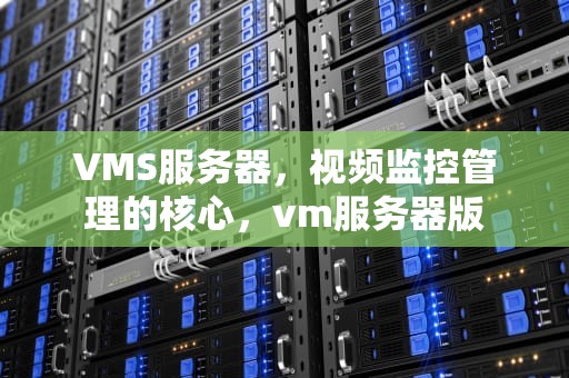 VMS服务器，视频监控管理的核心，vm服务器版