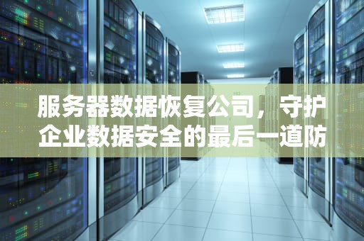 服务器数据恢复公司，守护企业数据安全的最后一道防线，服务器数据恢复价格