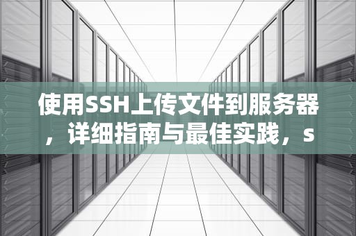 使用SSH上传文件到服务器，详细指南与最佳实践，ssh上传文件到服务器怎么看