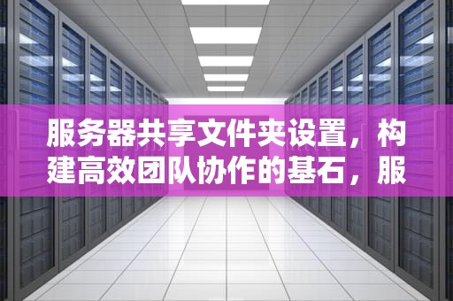 服务器共享文件夹设置，构建高效团队协作的基石，服务器共享文件夹设置访问权限