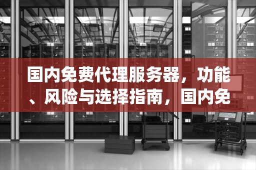 国内免费代理服务器，功能、风险与选择指南，国内免费代理服务器ip