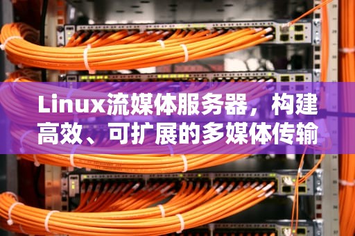 Linux流媒体服务器，构建高效、可扩展的多媒体传输平台，linux流媒体服务器搭建