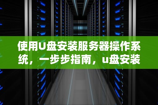 使用U盘安装服务器操作系统，一步步指南，u盘安装服务器系统安装教程