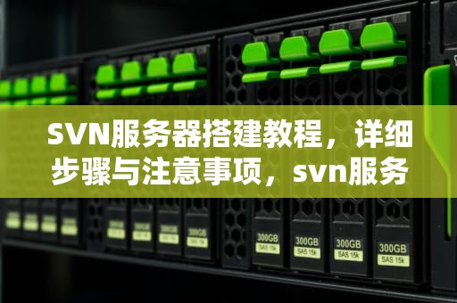SVN服务器搭建教程，详细步骤与注意事项，svn服务器搭建教程