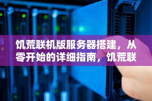 饥荒联机版服务器搭建，从零开始的详细指南，饥荒联机版服务器搭建教程
