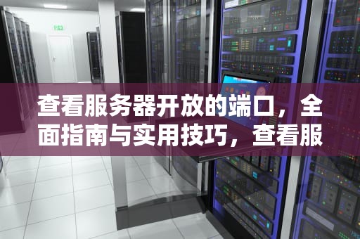查看服务器开放的端口，全面指南与实用技巧，查看服务器开放的端口号
