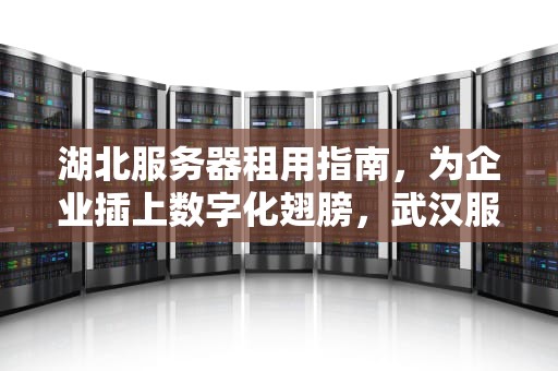 湖北服务器租用指南，为企业插上数字化翅膀，武汉服务器租用