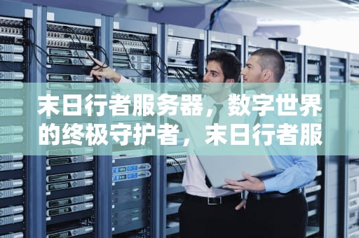 末日行者服务器，数字世界的终极守护者，末日行者服务器人口