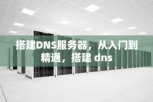 搭建DNS服务器，从入门到精通，搭建 dns