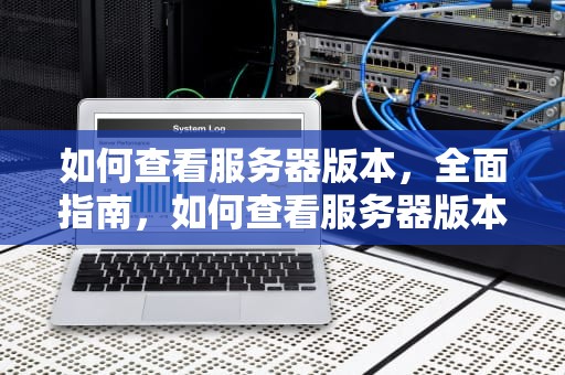 如何查看服务器版本，全面指南，如何查看服务器版本信息