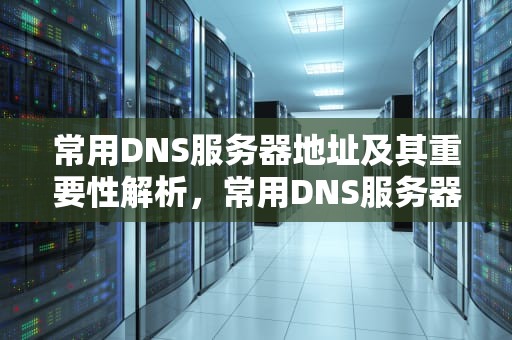 常用DNS服务器地址及其重要性解析，常用DNS服务器地址?