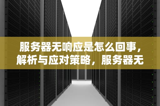 服务器无响应是怎么回事，解析与应对策略，服务器无响应是怎么回事手机