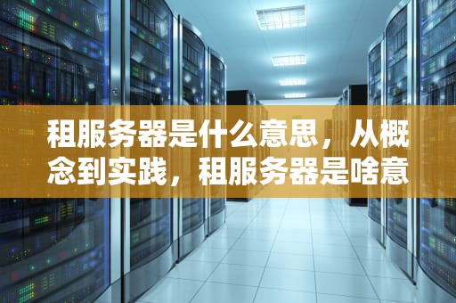 租服务器是什么意思，从概念到实践，租服务器是啥意思