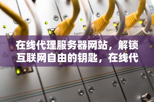 在线代理服务器网站，解锁互联网自由的钥匙，在线代理服务器网站web
