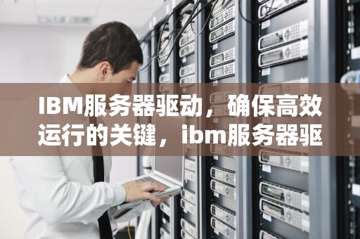 IBM服务器驱动，确保高效运行的关键，ibm服务器驱动下载