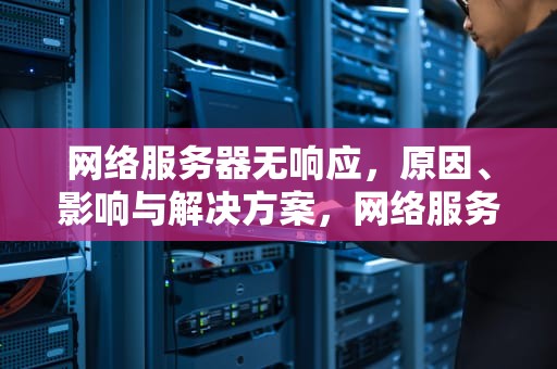 网络服务器无响应，原因、影响与解决方案，网络服务器无响应是什么意思