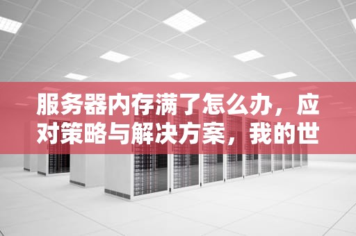 服务器内存满了怎么办，应对策略与解决方案，我的世界服务器内存满了怎么办