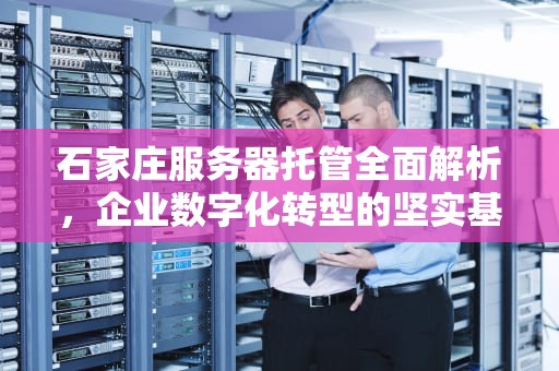 石家庄服务器托管全面解析，企业数字化转型的坚实基石，石家庄服务器托管收费