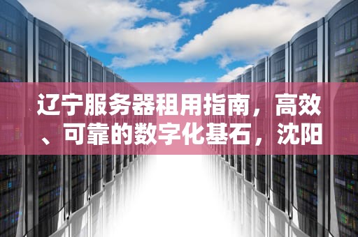 辽宁服务器租用指南，高效、可靠的数字化基石，沈阳服务器租用