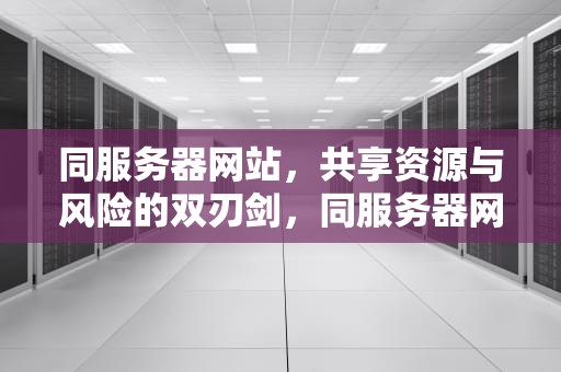 同服务器网站，共享资源与风险的双刃剑，同服务器网站查询
