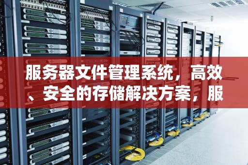 服务器文件管理系统，高效、安全的存储解决方案，服务器文件管理系统权限