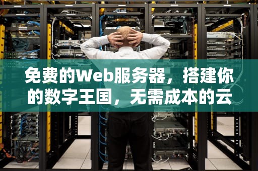 免费的Web服务器，搭建你的数字王国，无需成本的云端之旅，免费的web服务器有哪些
