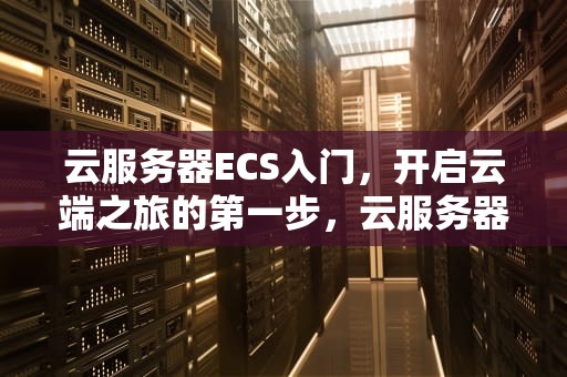 云服务器ECS入门，开启云端之旅的第一步，云服务器ECS入门考试