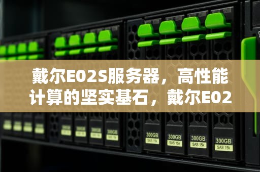 戴尔E02S服务器，高性能计算的坚实基石，戴尔E02S服务器参数