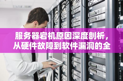 服务器宕机原因深度剖析，从硬件故障到软件漏洞的全面解读，服务器宕机原因及解决办法