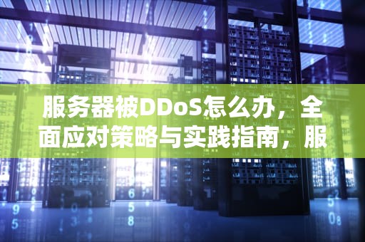 服务器被DDoS怎么办，全面应对策略与实践指南，服务器被ddos怎么办解决