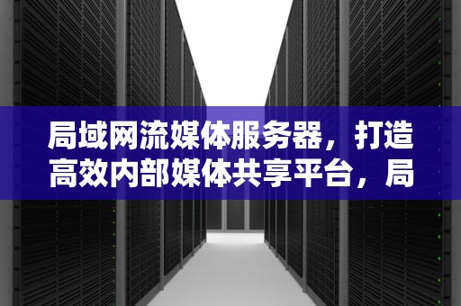 局域网流媒体服务器，打造高效内部媒体共享平台，局域网流媒体服务器软件