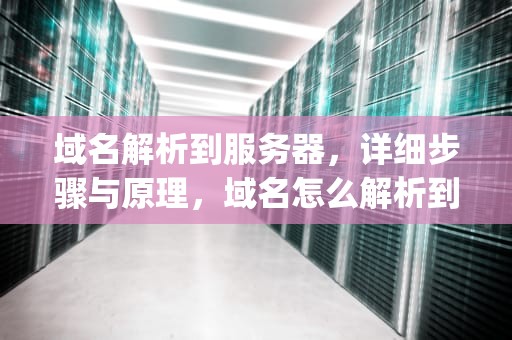 域名解析到服务器，详细步骤与原理，域名怎么解析到服务器ip