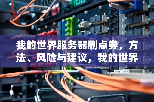 我的世界服务器刷点券，方法、风险与建议，我的世界服务器刷点券教程