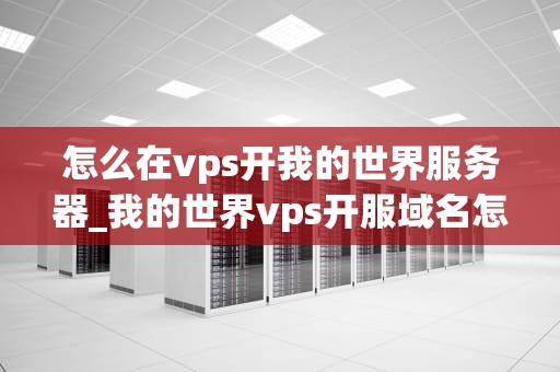 怎么在vps开我的世界服务器_我的世界vps开服域名怎么用_如何在VPS上开设我的世界服务器