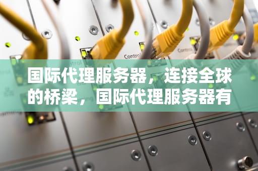 国际代理服务器，连接全球的桥梁，国际代理服务器有哪些