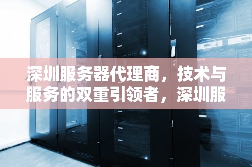 深圳服务器代理商，技术与服务的双重引领者，深圳服务器厂商