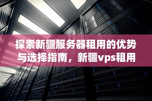 探索新疆服务器租用的优势与选择指南，新疆vps租用