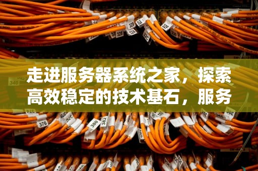 走进服务器系统之家，探索高效稳定的技术基石，服务器系统家用怎么样