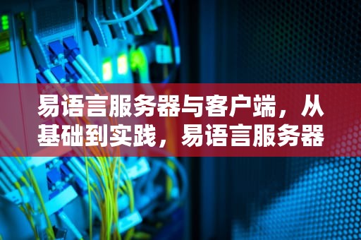 易语言服务器与客户端，从基础到实践，易语言服务器与客户端外网