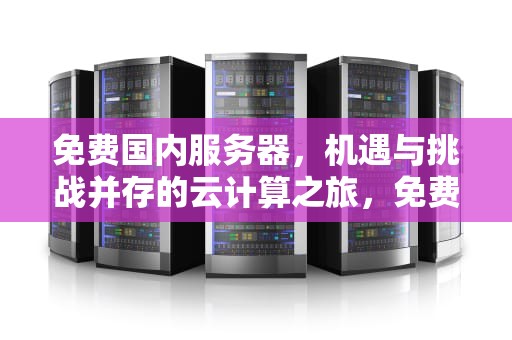 免费国内服务器，机遇与挑战并存的云计算之旅，免费国内服务器使用