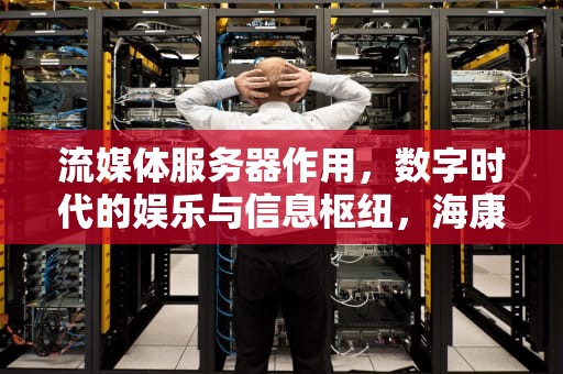 流媒体服务器作用，数字时代的娱乐与信息枢纽，海康流媒体服务器作用