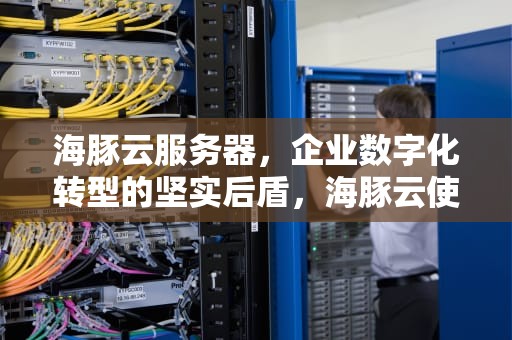 海豚云服务器，企业数字化转型的坚实后盾，海豚云使用教程
