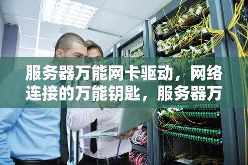 服务器万能网卡驱动，网络连接的万能钥匙，服务器万能网卡驱动怎么安装