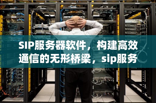SIP服务器软件，构建高效通信的无形桥梁，sip服务器上的服务