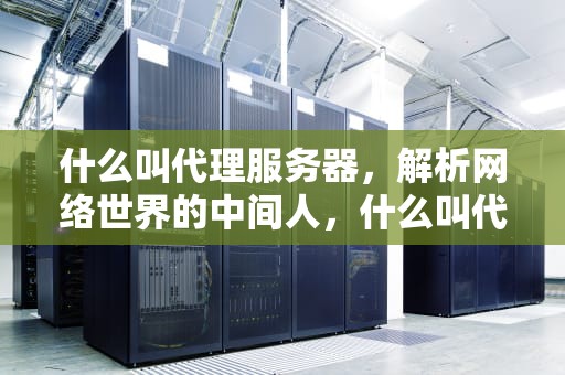 什么叫代理服务器，解析网络世界的中间人，什么叫代理服务器有问题