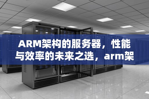 ARM架构的服务器，性能与效率的未来之选，arm架构的服务器有哪些